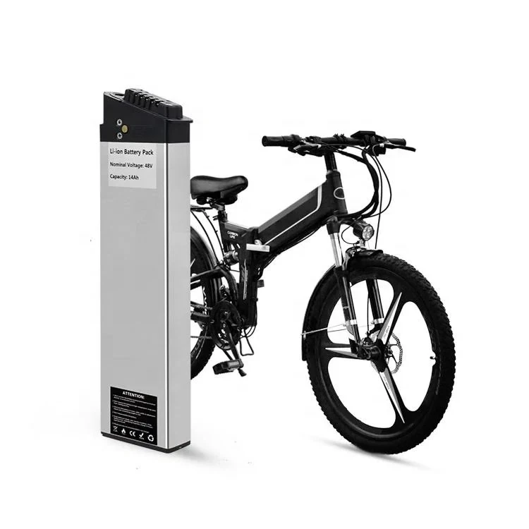 48V 1000W EBIKE बैटरी