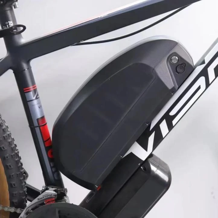 48V 2000W EBIKE बैटरी